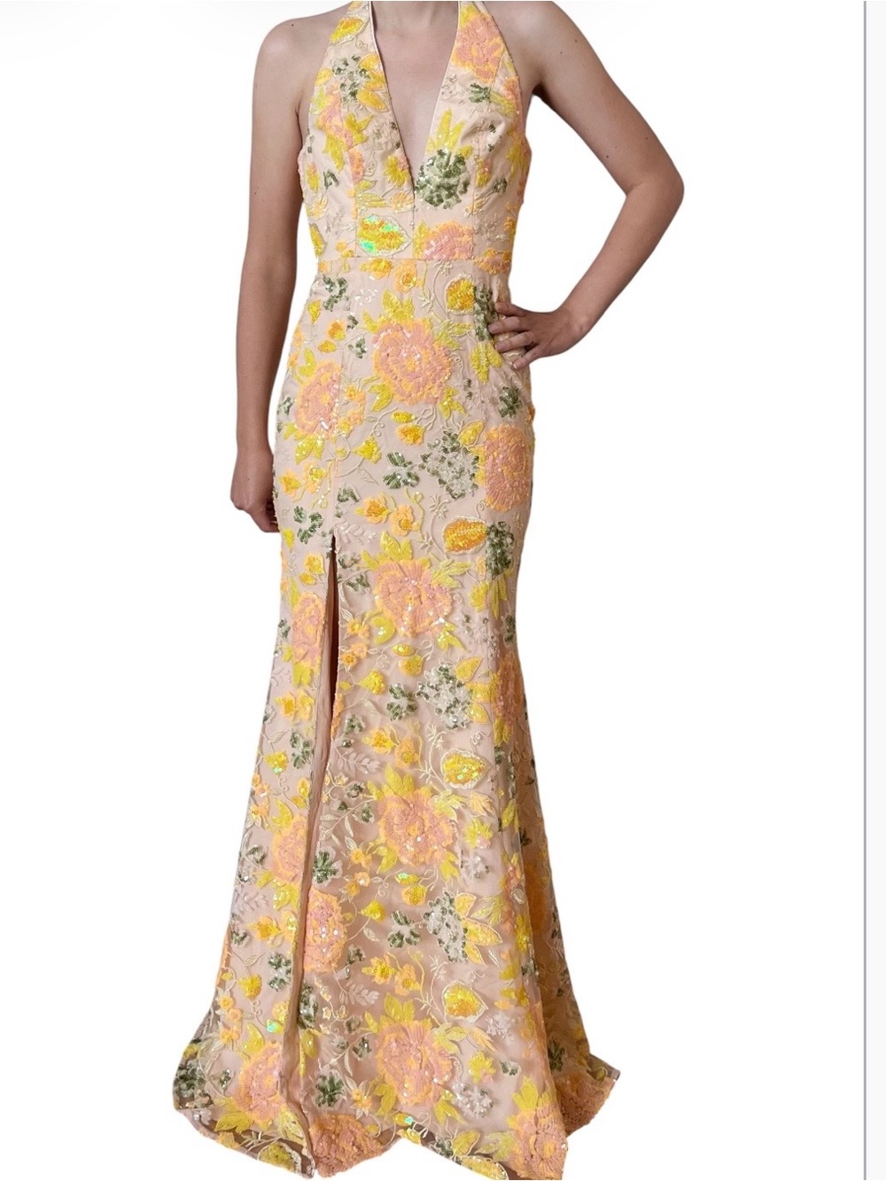 Dress the Population Sequin Embroidered Gown